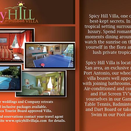 Spicy Hill Villa 포트안토니오 객실 사진